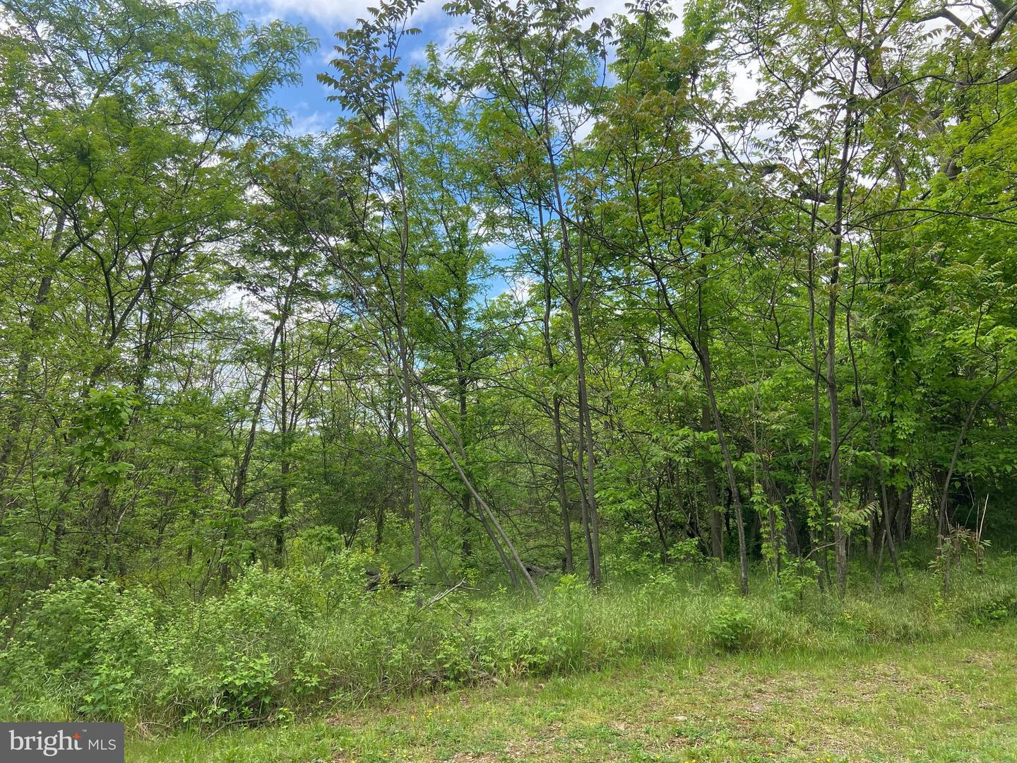 LOT 1 TAVISTOCK DR, WINCHESTER, Virginia 22602, ,Land,For sale,LOT 1 TAVISTOCK DR,VAFV2019074 MLS # VAFV2019074