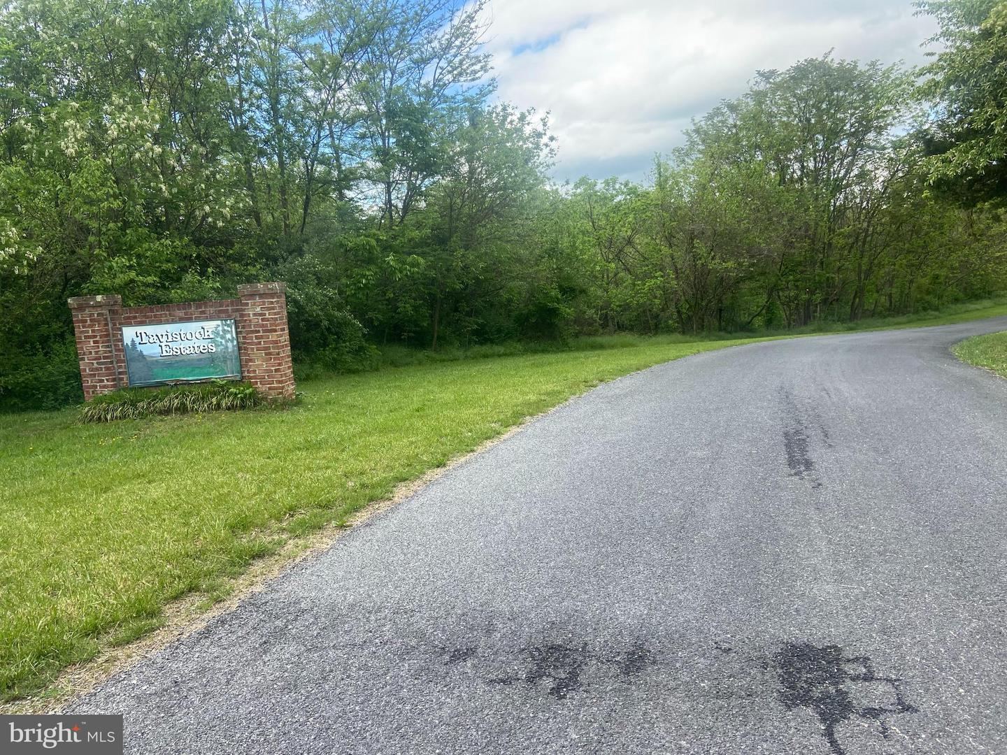 LOT 1 TAVISTOCK DR, WINCHESTER, Virginia 22602, ,Land,For sale,LOT 1 TAVISTOCK DR,VAFV2019074 MLS # VAFV2019074