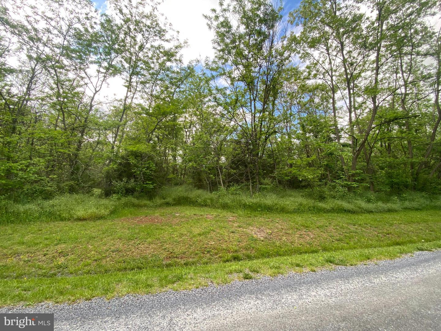 LOT 1 TAVISTOCK DR, WINCHESTER, Virginia 22602, ,Land,For sale,LOT 1 TAVISTOCK DR,VAFV2019074 MLS # VAFV2019074