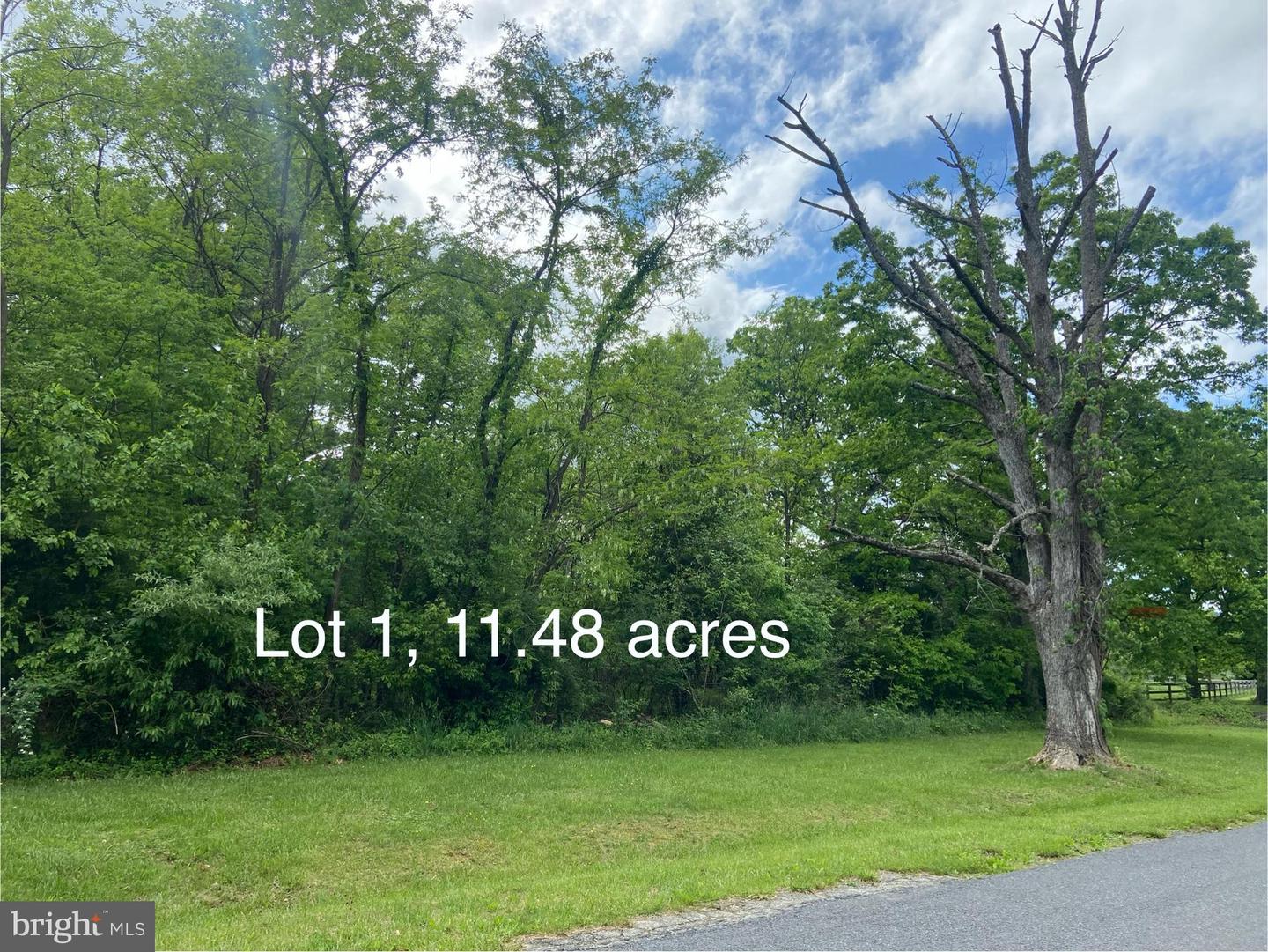 LOT 1 TAVISTOCK DR, WINCHESTER, Virginia 22602, ,Land,For sale,LOT 1 TAVISTOCK DR,VAFV2019074 MLS # VAFV2019074