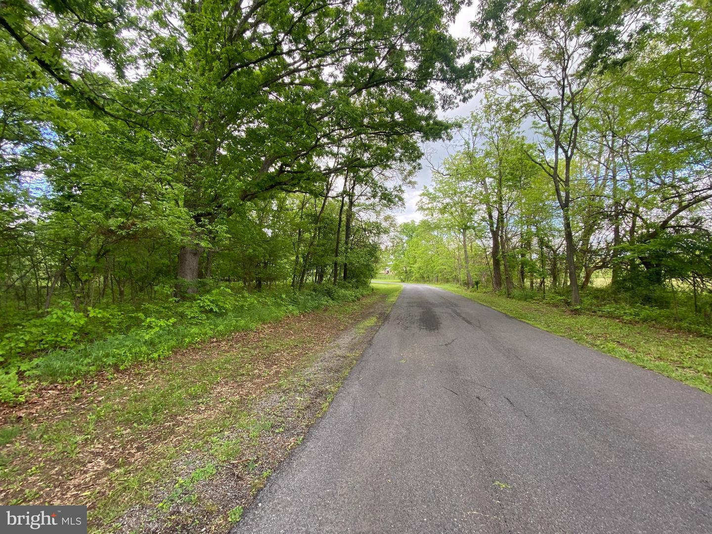 LOT 1 TAVISTOCK DR, WINCHESTER, Virginia 22602, ,Land,For sale,LOT 1 TAVISTOCK DR,VAFV2019074 MLS # VAFV2019074