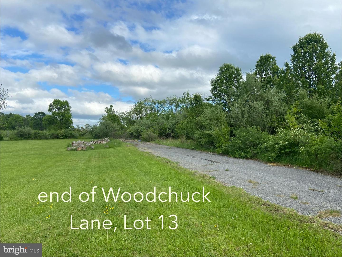 LOT 13 TAVISTOCK, WINCHESTER, Virginia 22602, ,Land,For sale,LOT 13 TAVISTOCK,VAFV2019078 MLS # VAFV2019078