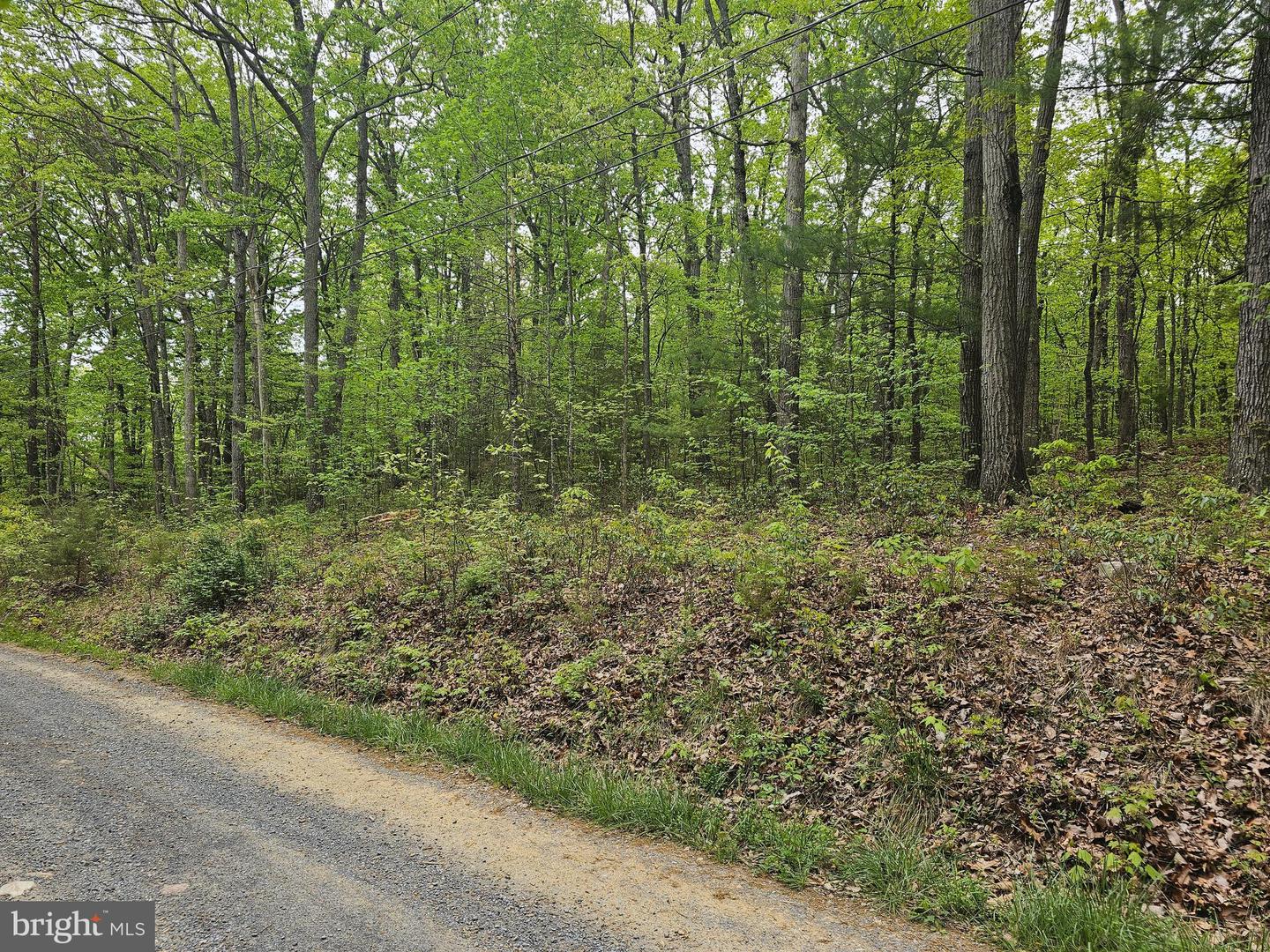 000 OAK LN, LURAY, Virginia 22835, ,Land,For sale,000 OAK LN,VAPA2003580 MLS # VAPA2003580