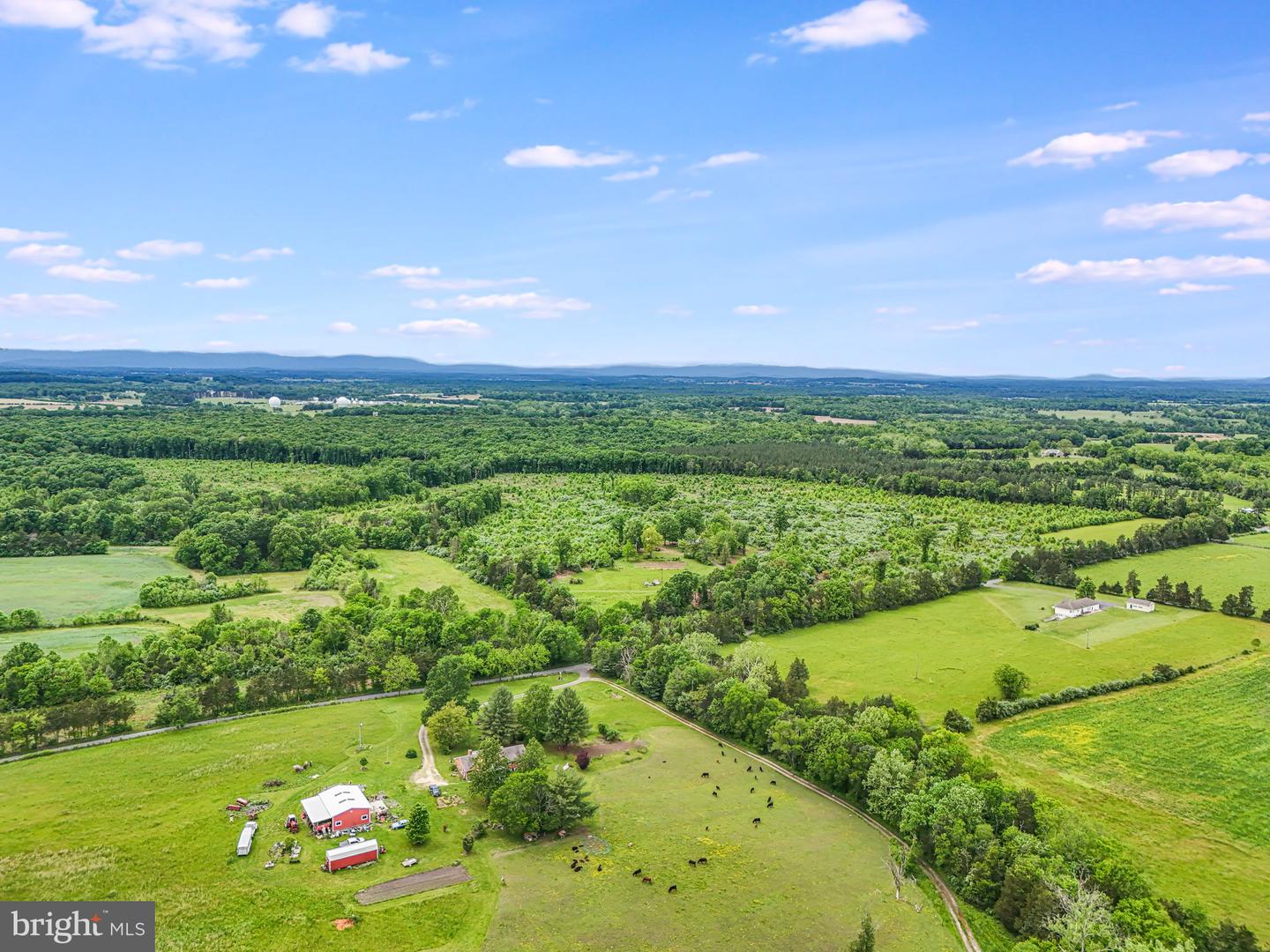 18172 YOUNGS LN, ELKWOOD, Virginia 22718, 3 Bedrooms Bedrooms, ,1 BathroomBathrooms,Residential,For sale,18172 YOUNGS LN,VACU2007628 MLS # VACU2007628