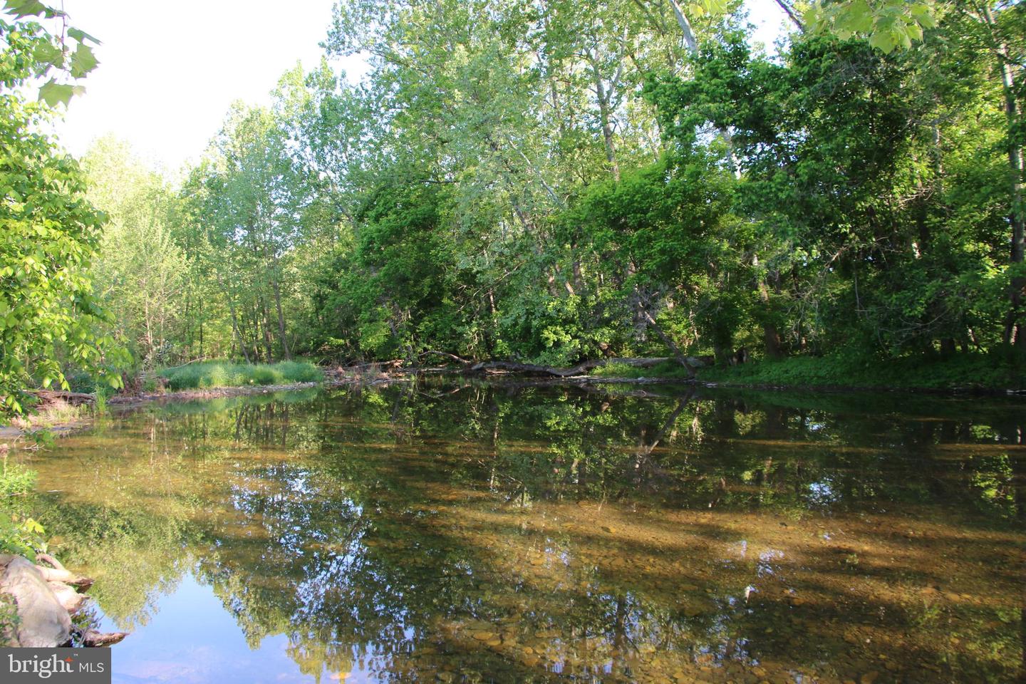 NAKED CREEK RD, ELKTON, Virginia 22827, ,Farm,For sale,NAKED CREEK RD,VAPA2003536 MLS # VAPA2003536