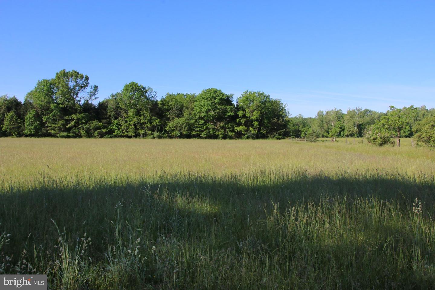 NAKED CREEK RD, ELKTON, Virginia 22827, ,Farm,For sale,NAKED CREEK RD,VAPA2003536 MLS # VAPA2003536