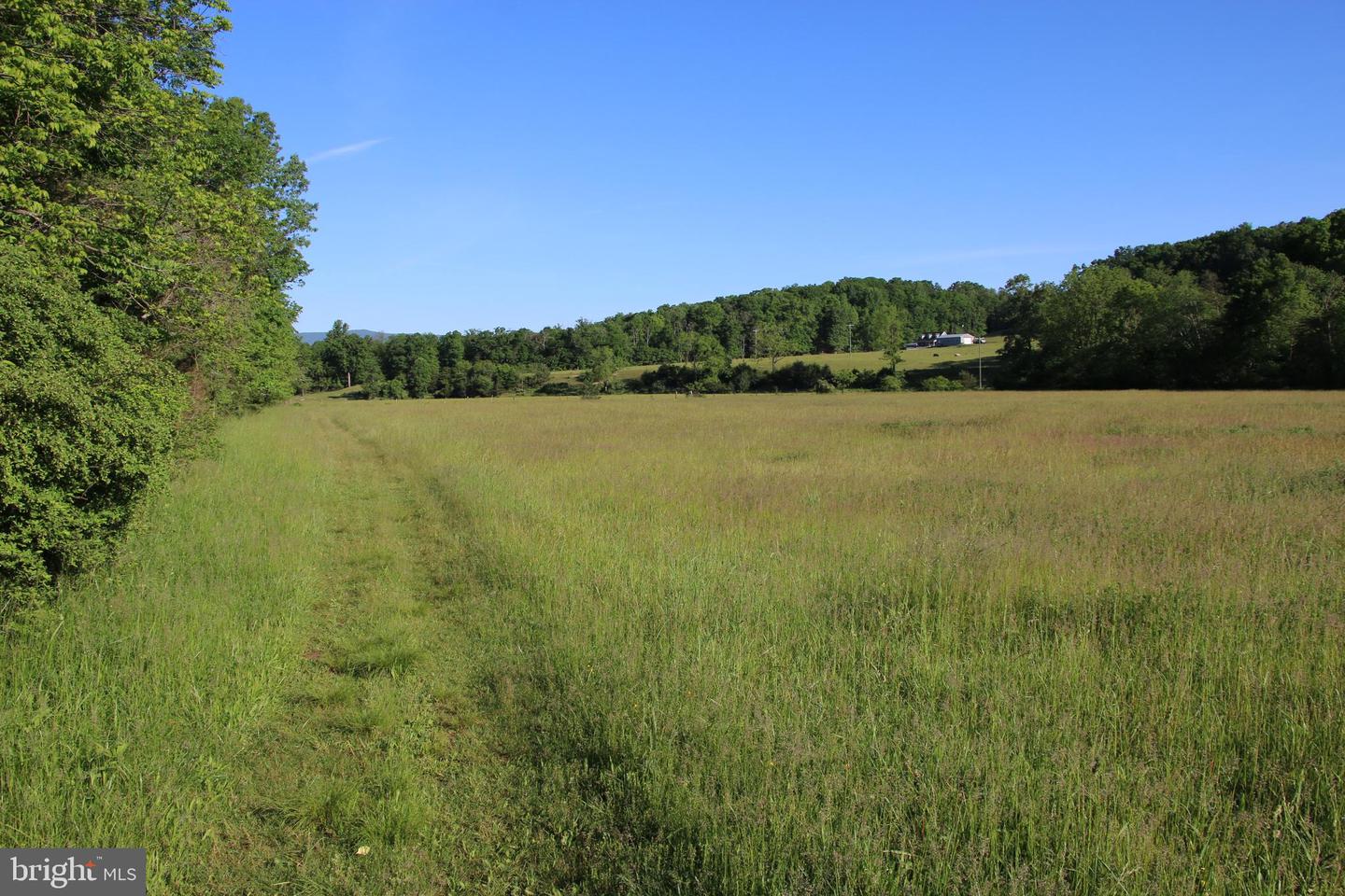 NAKED CREEK RD, ELKTON, Virginia 22827, ,Farm,For sale,NAKED CREEK RD,VAPA2003536 MLS # VAPA2003536