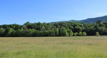 NAKED CREEK RD, ELKTON, Virginia 22827, ,Farm,For sale,NAKED CREEK RD,VAPA2003536 MLS # VAPA2003536