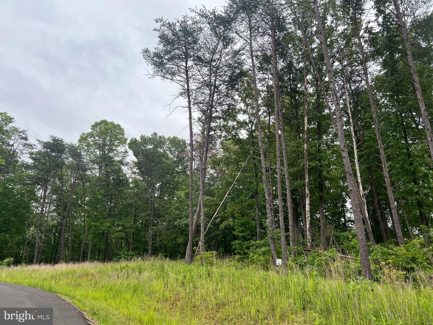 CRESTVIEW RD #LOT 93, WIRTZ, Virginia 24184, ,Land,For sale,CRESTVIEW RD #LOT 93,VAFK2000040 MLS # VAFK2000040