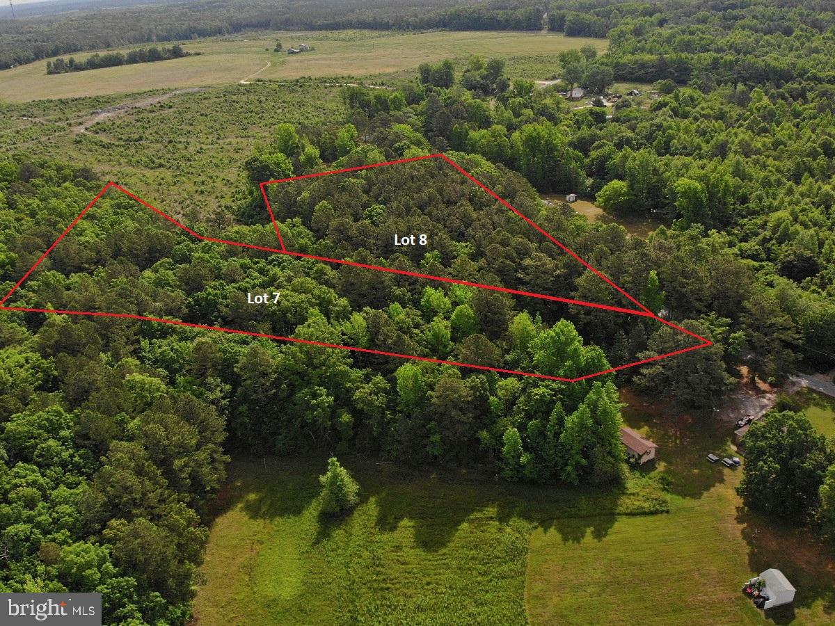 BELFIELD RD, FREEMAN, Virginia 23856, ,Land,For sale,BELFIELD RD,VABW2000040 MLS # VABW2000040