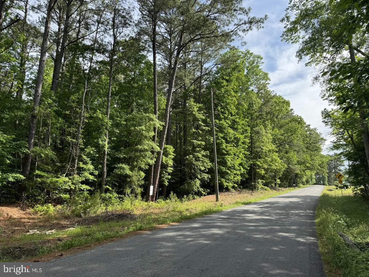 BELFIELD RD, FREEMAN, Virginia 23856, ,Land,For sale,BELFIELD RD,VABW2000040 MLS # VABW2000040