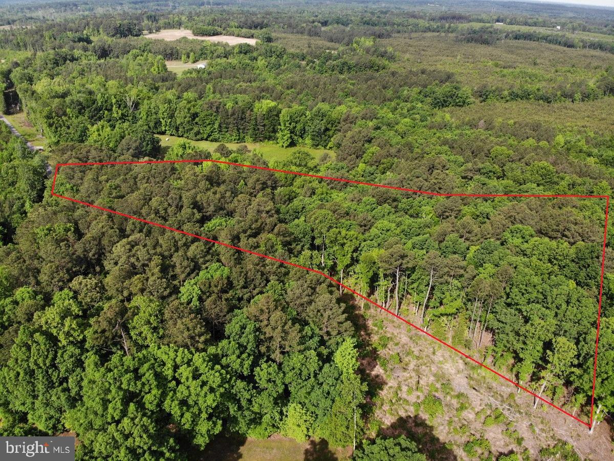 BELFIELD RD, FREEMAN, Virginia 23856, ,Land,For sale,BELFIELD RD,VABW2000040 MLS # VABW2000040