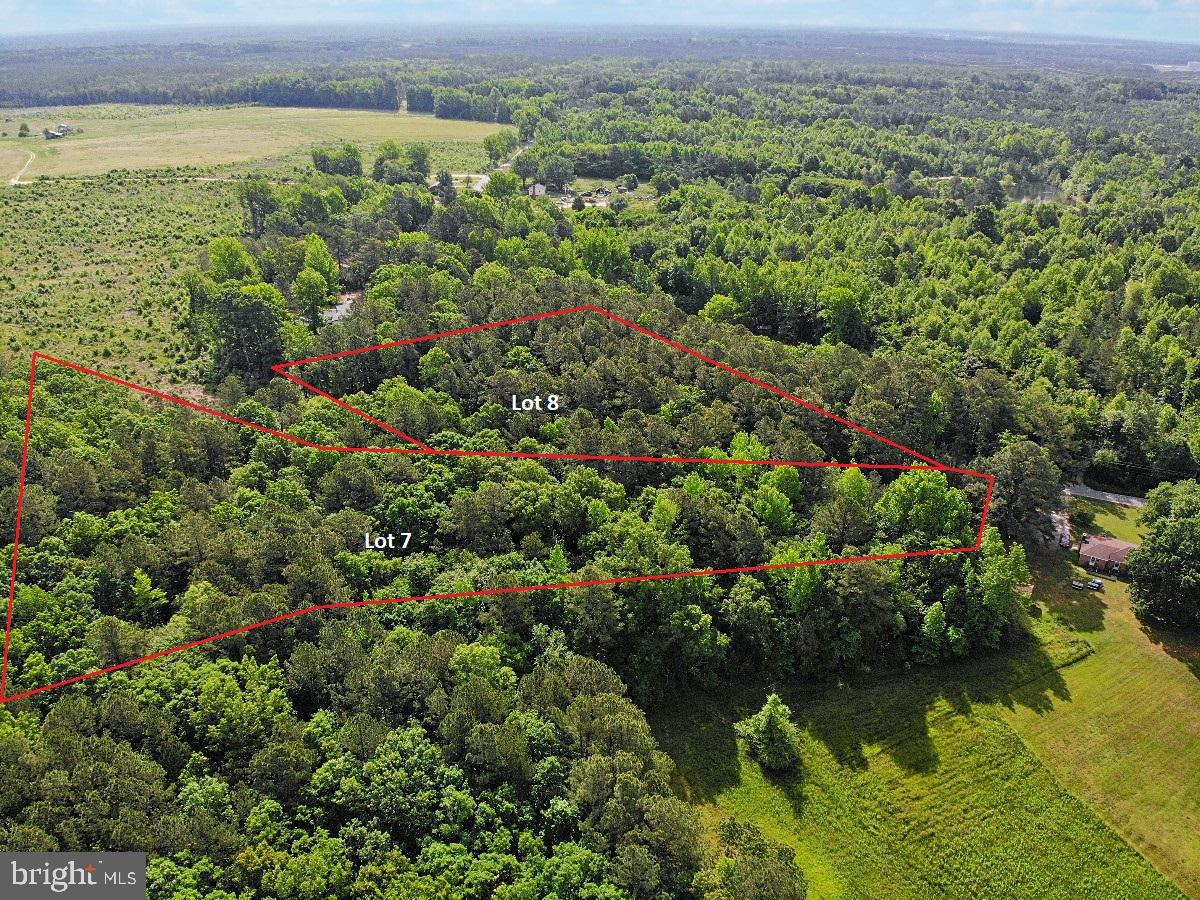 BELFIELD RD, FREEMAN, Virginia 23856, ,Land,For sale,BELFIELD RD,VABW2000040 MLS # VABW2000040