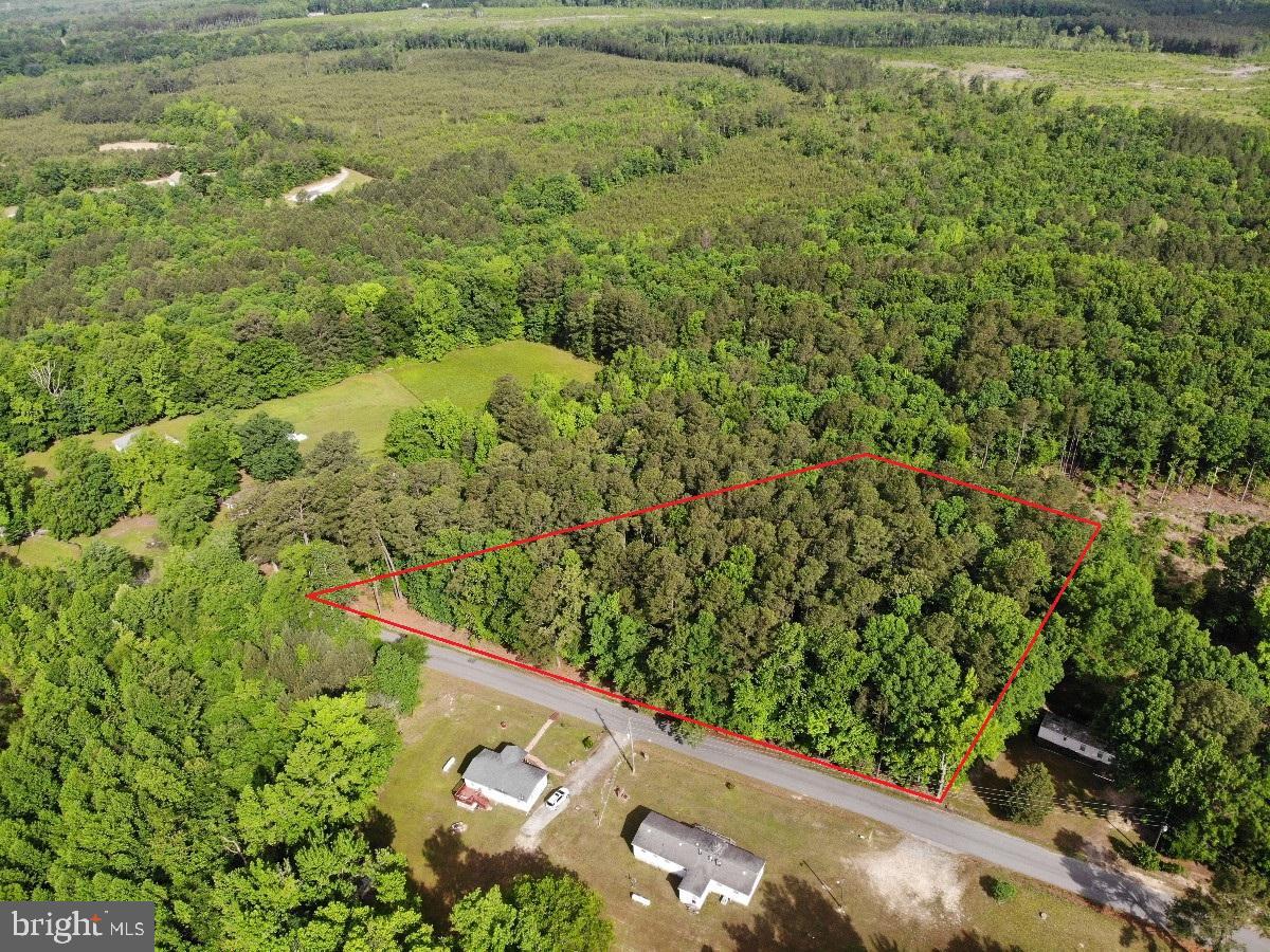 BELFIELD RD, FREEMAN, Virginia 23856, ,Land,For sale,BELFIELD RD,VABW2000042 MLS # VABW2000042