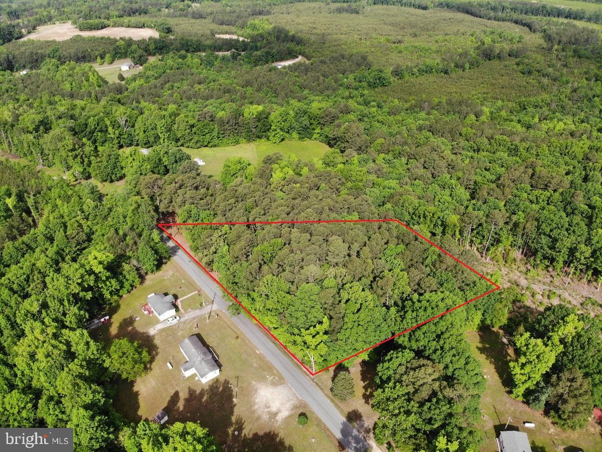 BELFIELD RD, FREEMAN, Virginia 23856, ,Land,For sale,BELFIELD RD,VABW2000042 MLS # VABW2000042