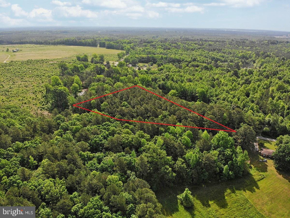 BELFIELD RD, FREEMAN, Virginia 23856, ,Land,For sale,BELFIELD RD,VABW2000042 MLS # VABW2000042