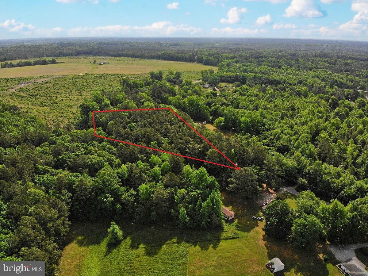 BELFIELD RD, FREEMAN, Virginia 23856, ,Land,For sale,BELFIELD RD,VABW2000042 MLS # VABW2000042