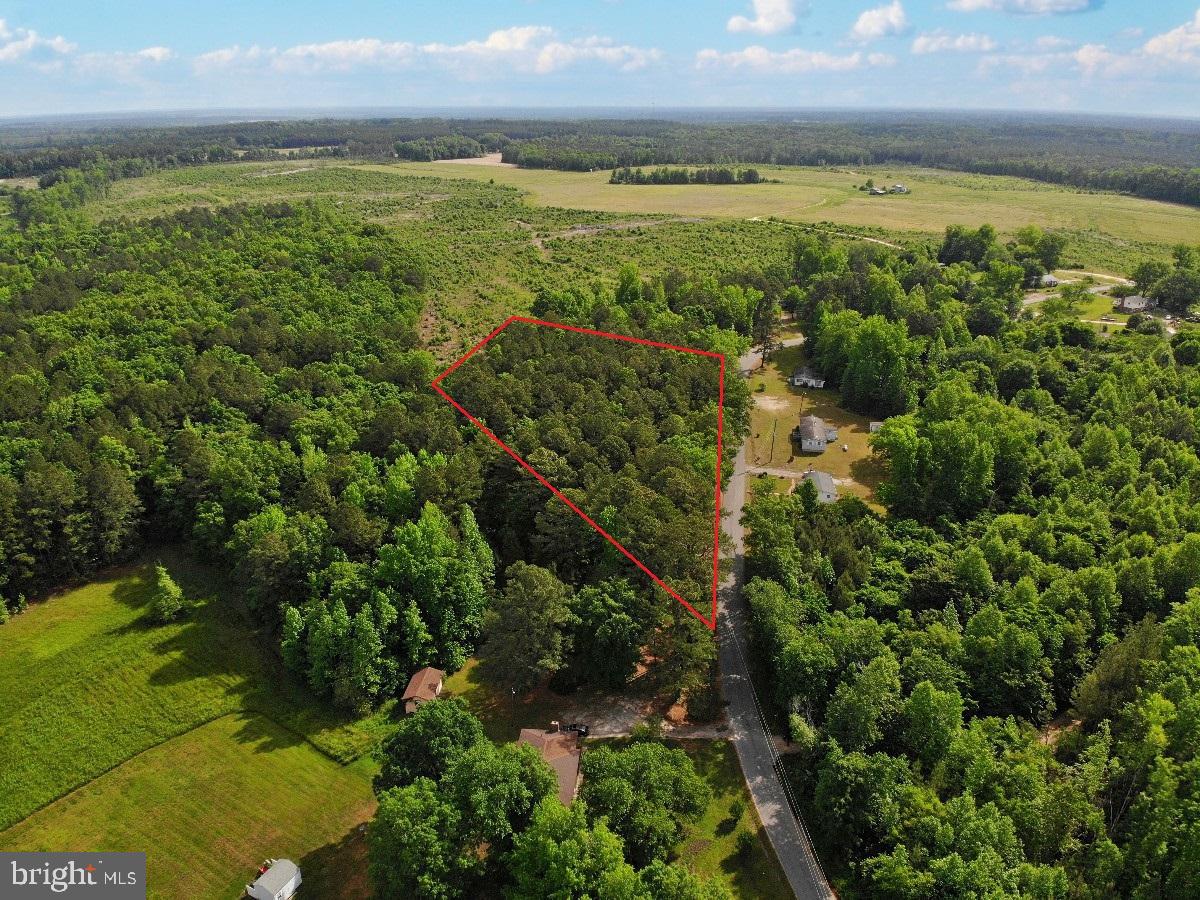 BELFIELD RD, FREEMAN, Virginia 23856, ,Land,For sale,BELFIELD RD,VABW2000042 MLS # VABW2000042