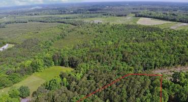 BELFIELD RD, FREEMAN, Virginia 23856, ,Land,For sale,BELFIELD RD,VABW2000042 MLS # VABW2000042