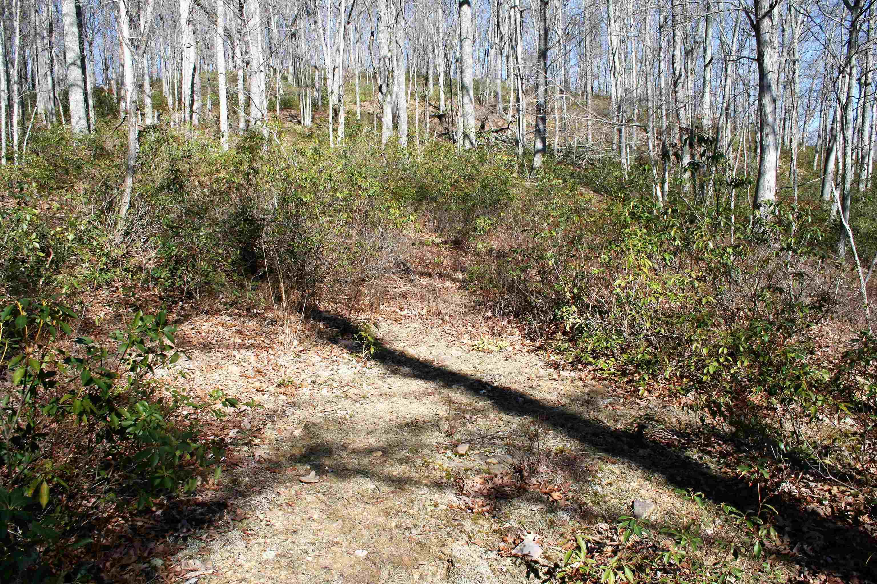 TBD HIGH VALLEY SOUTH, MONTEREY, Virginia 24465, ,Land,lot 49 and 43 acres,TBD HIGH VALLEY SOUTH,653089 MLS # 653089