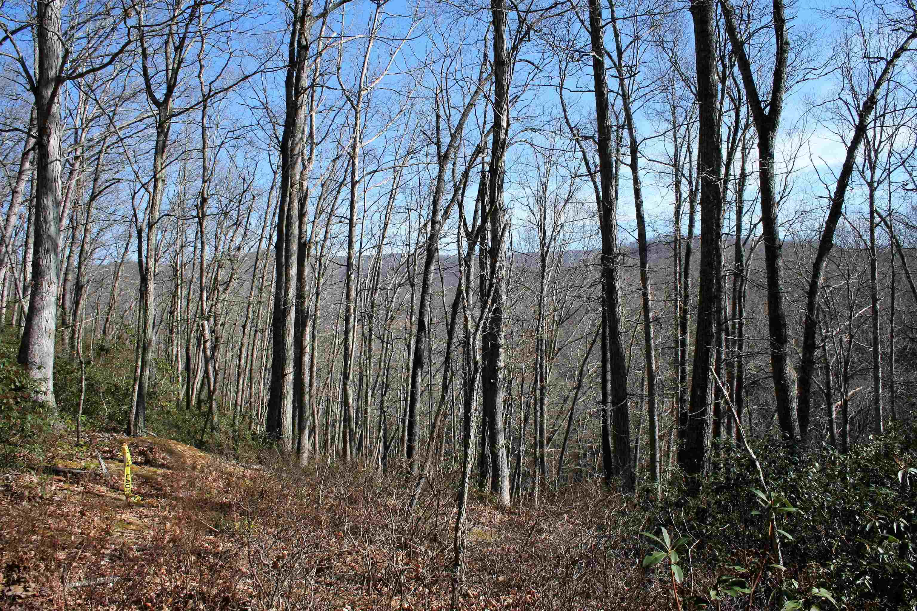 TBD HIGH VALLEY SOUTH, MONTEREY, Virginia 24465, ,Land,lot 49 and 43 acres,TBD HIGH VALLEY SOUTH,653089 MLS # 653089