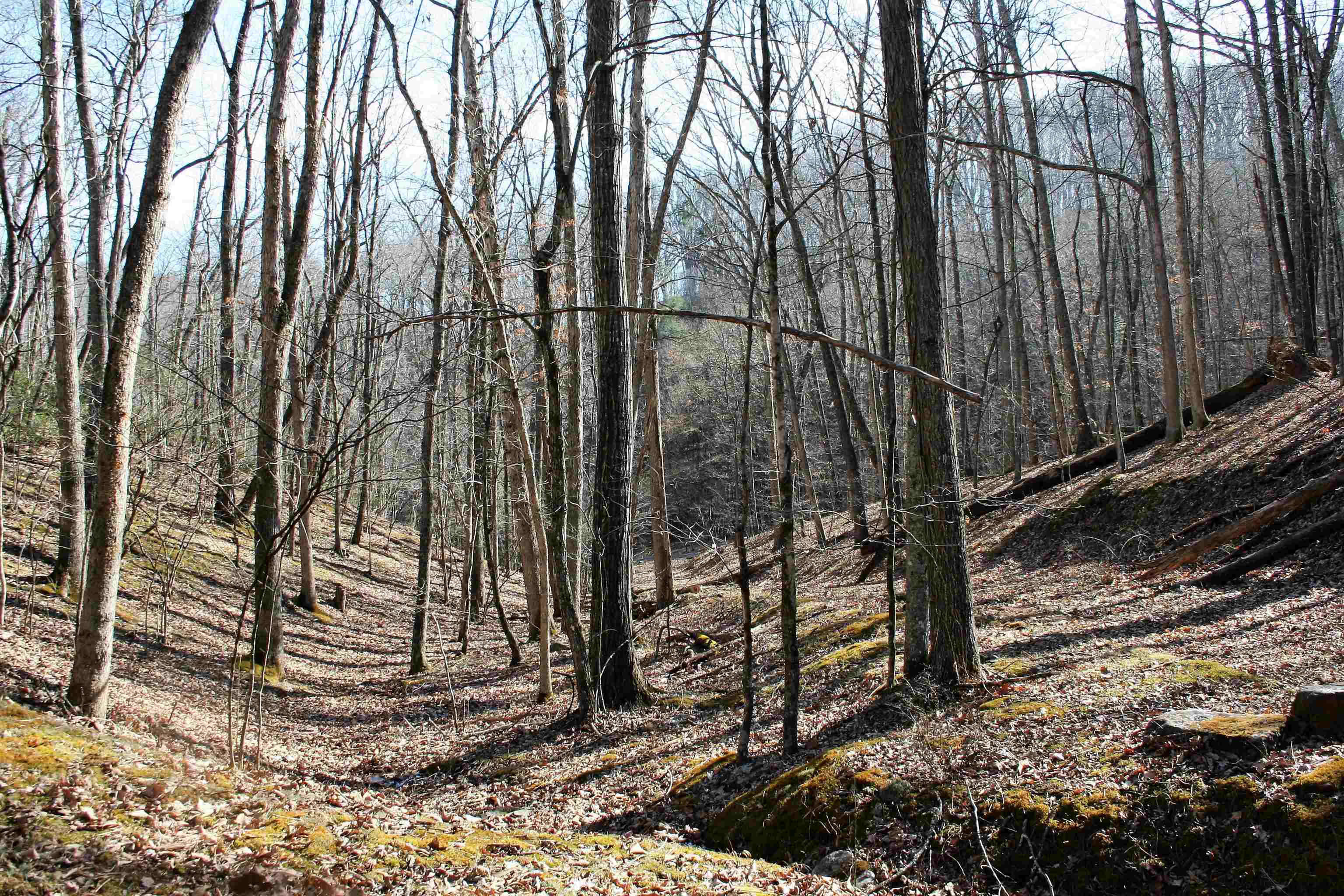 TBD HIGH VALLEY SOUTH, MONTEREY, Virginia 24465, ,Land,lot 49 and 43 acres,TBD HIGH VALLEY SOUTH,653089 MLS # 653089