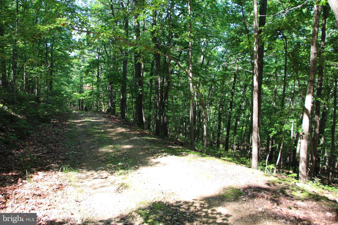 CHAPMAN LN, BOYCE, Virginia 22620, ,Land,For sale,CHAPMAN LN,VACL2002738 MLS # VACL2002738