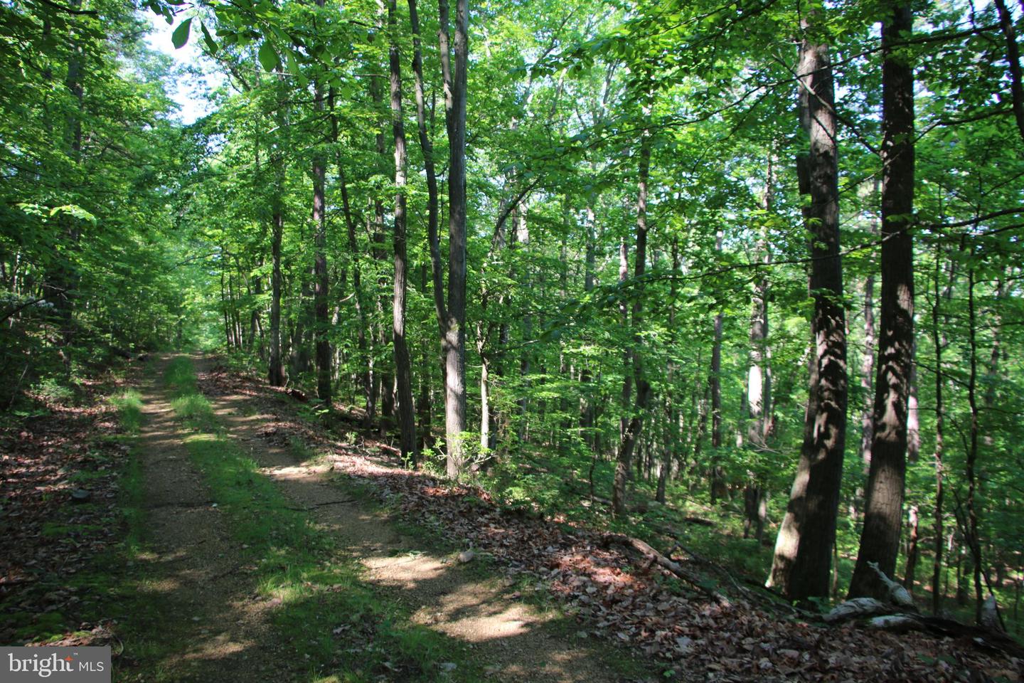 CHAPMAN LN, BOYCE, Virginia 22620, ,Land,For sale,CHAPMAN LN,VACL2002738 MLS # VACL2002738