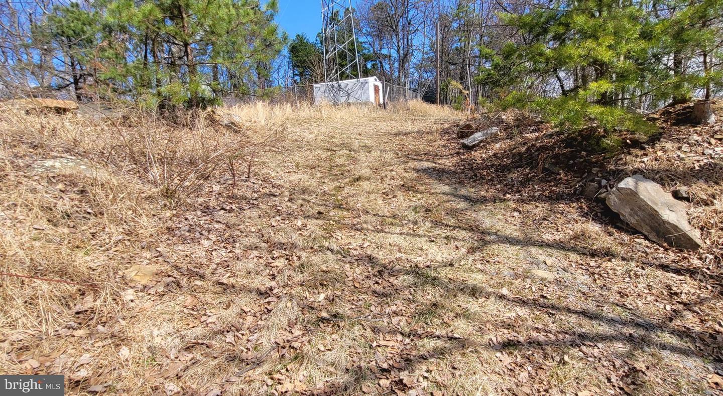 2408 & 2410 LOOKOUT RD, HAYMARKET, Virginia 20169, ,Land,For sale,2408 & 2410 LOOKOUT RD,VAPW2071640 MLS # VAPW2071640