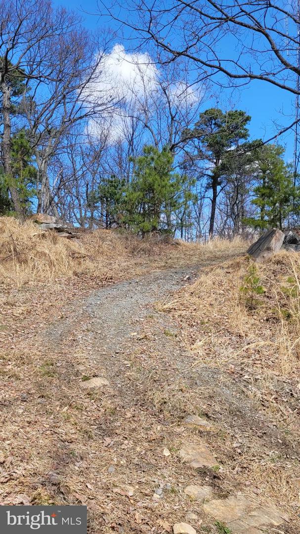 2408 & 2410 LOOKOUT RD, HAYMARKET, Virginia 20169, ,Land,For sale,2408 & 2410 LOOKOUT RD,VAPW2071640 MLS # VAPW2071640