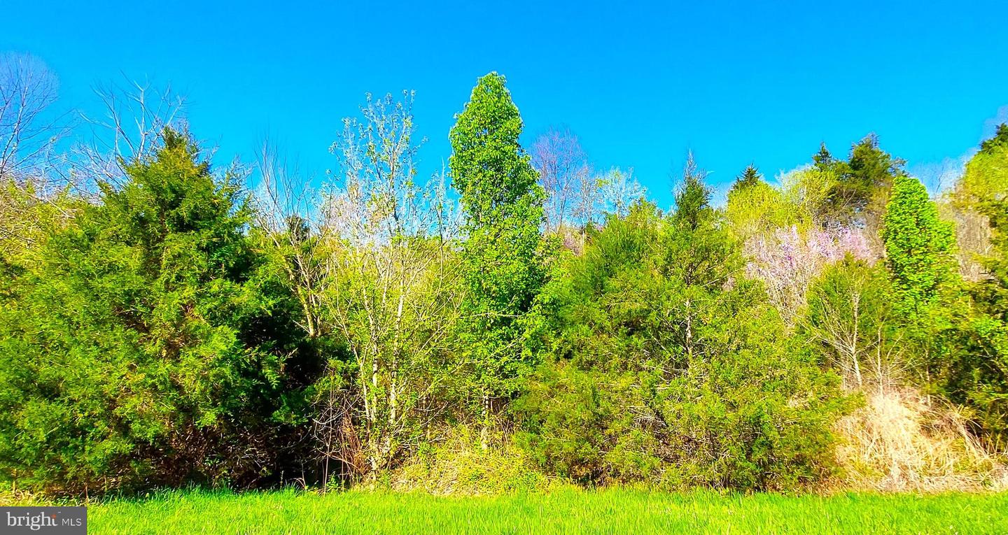 LOT 1045 POPLAR DR, LOUISA, Virginia 23093, ,Land,For sale,LOT 1045 POPLAR DR,VALA2005318 MLS # VALA2005318