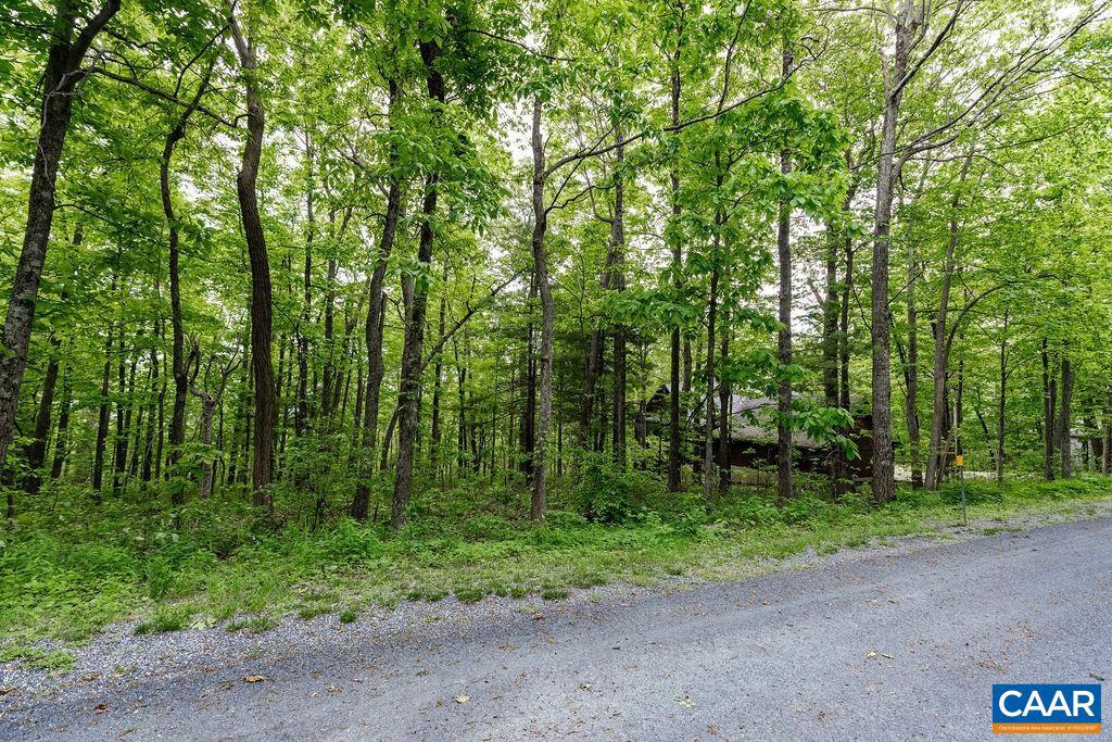 7 & 23 WOLFTRAP LN #LOTS 52 & 53, WINTERGREEN RESORT, Virginia 22967, ,Land,For sale,7 & 23 WOLFTRAP LN #LOTS 52 & 53,653270 MLS # 653270