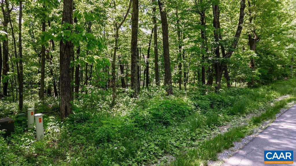 7 & 23 WOLFTRAP LN #LOTS 52 & 53, WINTERGREEN RESORT, Virginia 22967, ,Land,For sale,7 & 23 WOLFTRAP LN #LOTS 52 & 53,653270 MLS # 653270