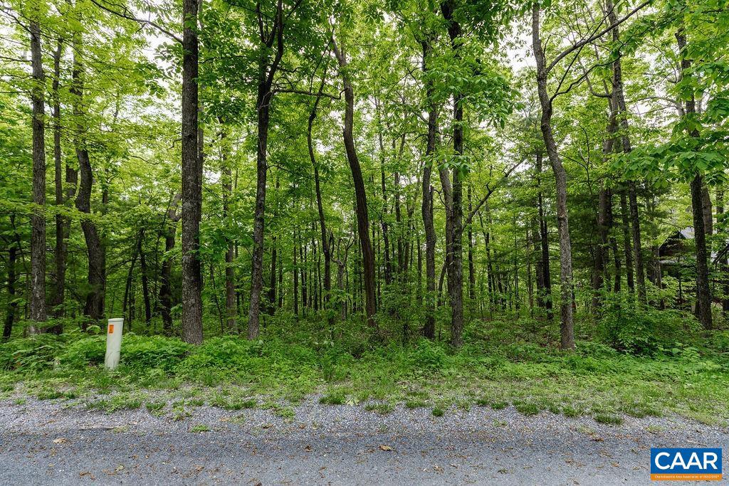 7 & 23 WOLFTRAP LN #LOTS 52 & 53, WINTERGREEN RESORT, Virginia 22967, ,Land,For sale,7 & 23 WOLFTRAP LN #LOTS 52 & 53,653270 MLS # 653270