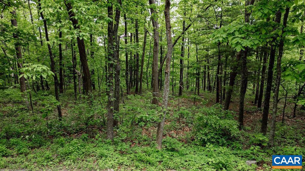 7 & 23 WOLFTRAP LN #LOTS 52 & 53, WINTERGREEN RESORT, Virginia 22967, ,Land,For sale,7 & 23 WOLFTRAP LN #LOTS 52 & 53,653270 MLS # 653270