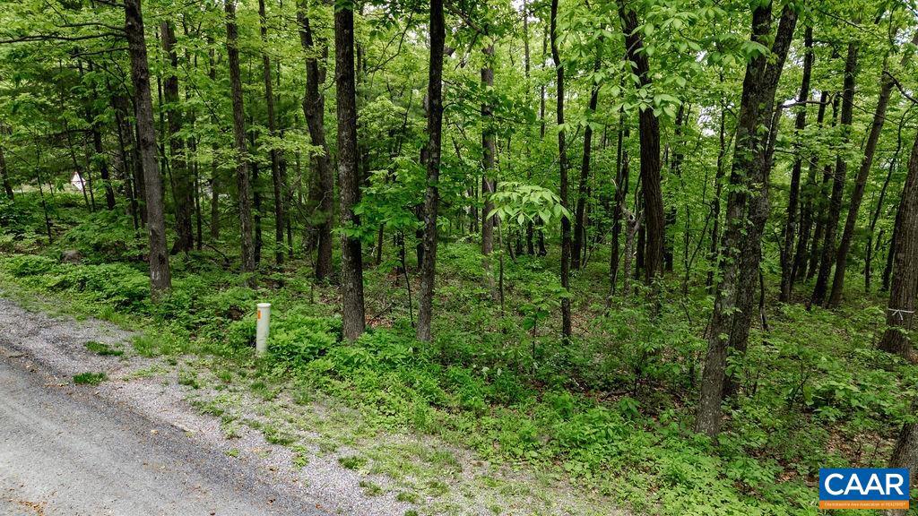 7 & 23 WOLFTRAP LN #LOTS 52 & 53, WINTERGREEN RESORT, Virginia 22967, ,Land,For sale,7 & 23 WOLFTRAP LN #LOTS 52 & 53,653270 MLS # 653270