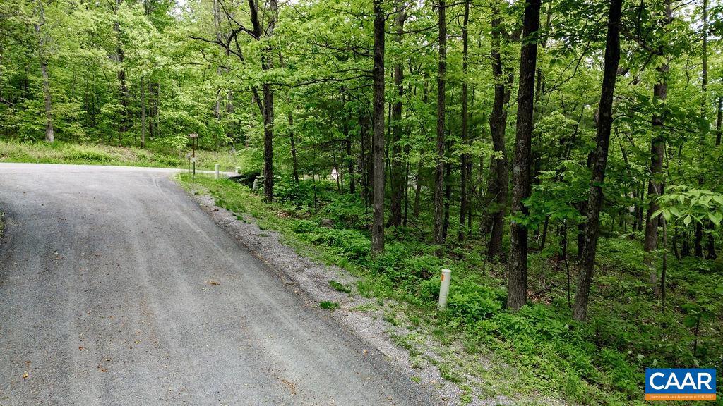 7 & 23 WOLFTRAP LN #LOTS 52 & 53, WINTERGREEN RESORT, Virginia 22967, ,Land,For sale,7 & 23 WOLFTRAP LN #LOTS 52 & 53,653270 MLS # 653270