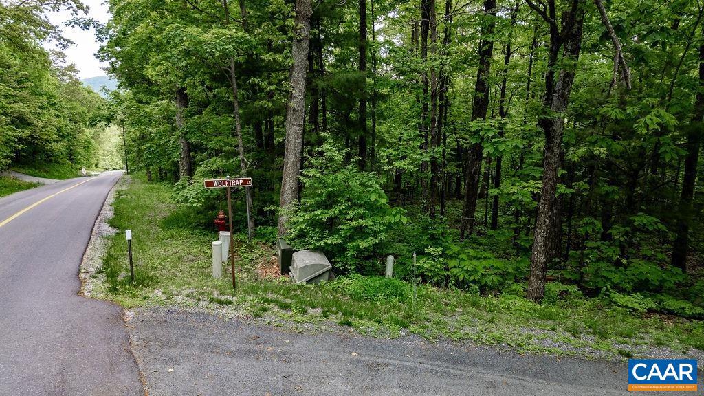 7 & 23 WOLFTRAP LN #LOTS 52 & 53, WINTERGREEN RESORT, Virginia 22967, ,Land,For sale,7 & 23 WOLFTRAP LN #LOTS 52 & 53,653270 MLS # 653270