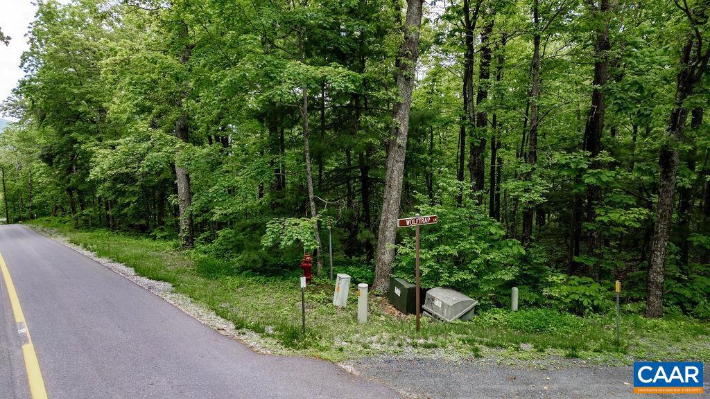 7 & 23 WOLFTRAP LN #LOTS 52 & 53, WINTERGREEN RESORT, Virginia 22967, ,Land,For sale,7 & 23 WOLFTRAP LN #LOTS 52 & 53,653270 MLS # 653270