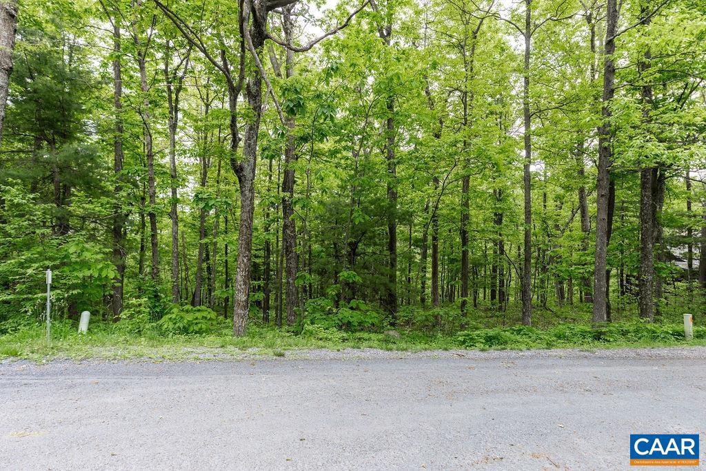 7 & 23 WOLFTRAP LN #LOTS 52 & 53, WINTERGREEN RESORT, Virginia 22967, ,Land,For sale,7 & 23 WOLFTRAP LN #LOTS 52 & 53,653270 MLS # 653270