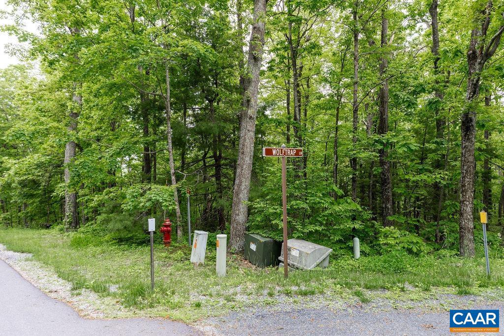 7 & 23 WOLFTRAP LN #LOTS 52 & 53, WINTERGREEN RESORT, Virginia 22967, ,Land,For sale,7 & 23 WOLFTRAP LN #LOTS 52 & 53,653270 MLS # 653270