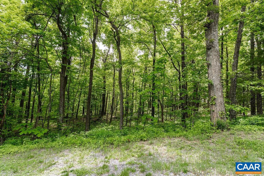 7 & 23 WOLFTRAP LN #LOTS 52 & 53, WINTERGREEN RESORT, Virginia 22967, ,Land,For sale,7 & 23 WOLFTRAP LN #LOTS 52 & 53,653270 MLS # 653270