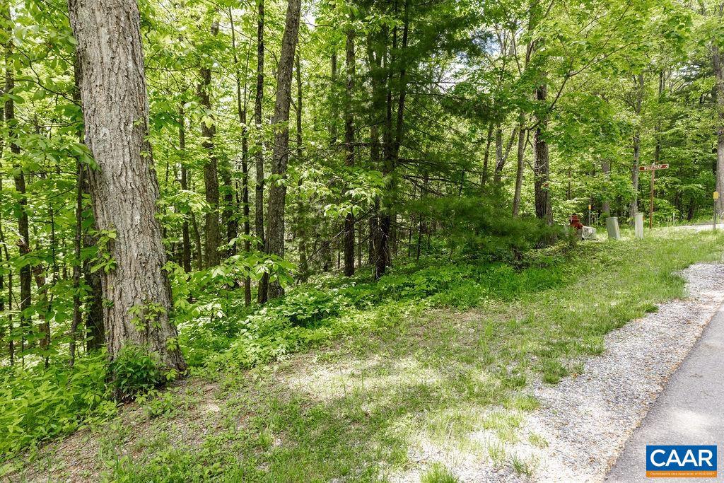 7 & 23 WOLFTRAP LN #LOTS 52 & 53, WINTERGREEN RESORT, Virginia 22967, ,Land,For sale,7 & 23 WOLFTRAP LN #LOTS 52 & 53,653270 MLS # 653270