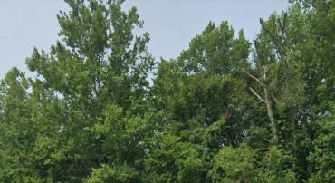 LOT 15 OXFORD LN, KING WILLIAM, Virginia 23086, ,Land,For sale,LOT 15 OXFORD LN,VAKW2000182 MLS # VAKW2000182