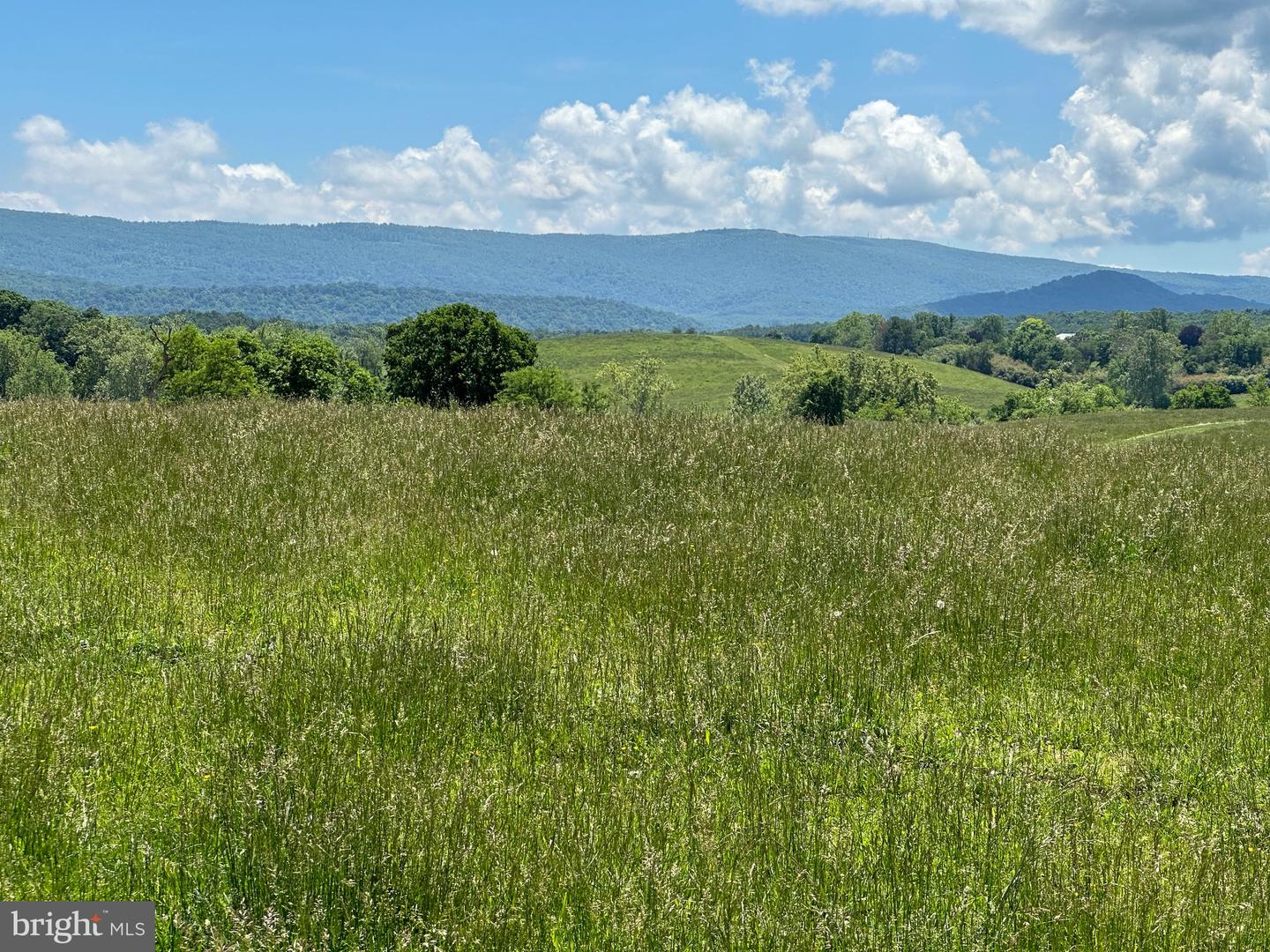 266 QUARTER HORSE LANE, BOYCE, Virginia 22620, ,Farm,For sale,266 QUARTER HORSE LANE,VACL2002780 MLS # VACL2002780