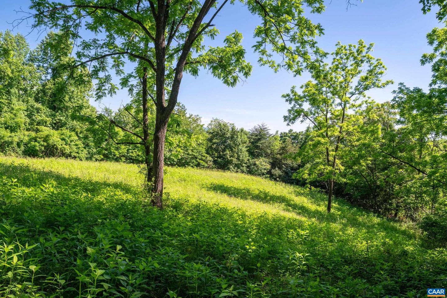 TBD ROCKFISH ORCHARD DR, AFTON, Virginia 22920, ,Land,For sale,TBD ROCKFISH ORCHARD DR,653389 MLS # 653389