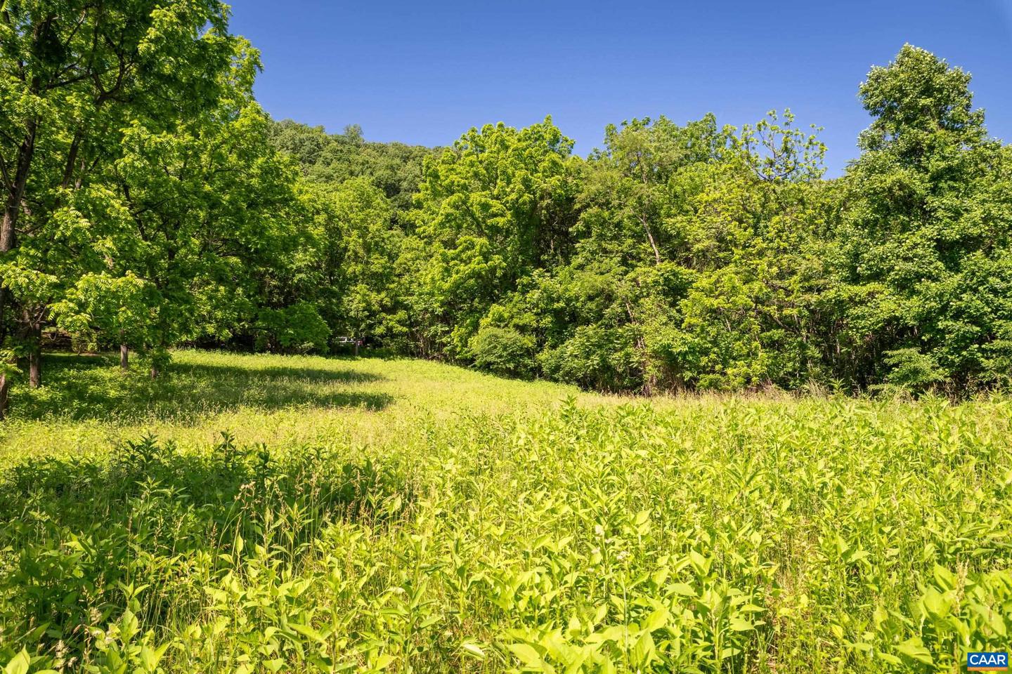 TBD ROCKFISH ORCHARD DR, AFTON, Virginia 22920, ,Land,For sale,TBD ROCKFISH ORCHARD DR,653389 MLS # 653389