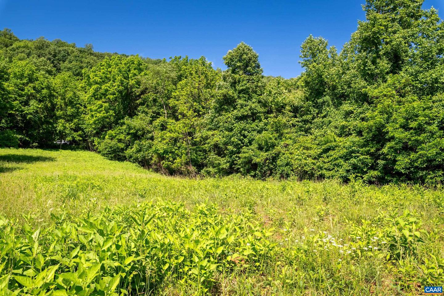 TBD ROCKFISH ORCHARD DR, AFTON, Virginia 22920, ,Land,For sale,TBD ROCKFISH ORCHARD DR,653389 MLS # 653389