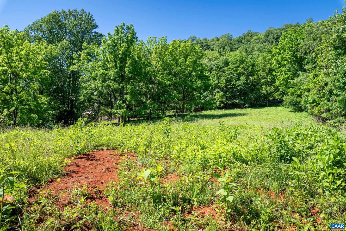 TBD ROCKFISH ORCHARD DR, AFTON, Virginia 22920, ,Land,For sale,TBD ROCKFISH ORCHARD DR,653389 MLS # 653389