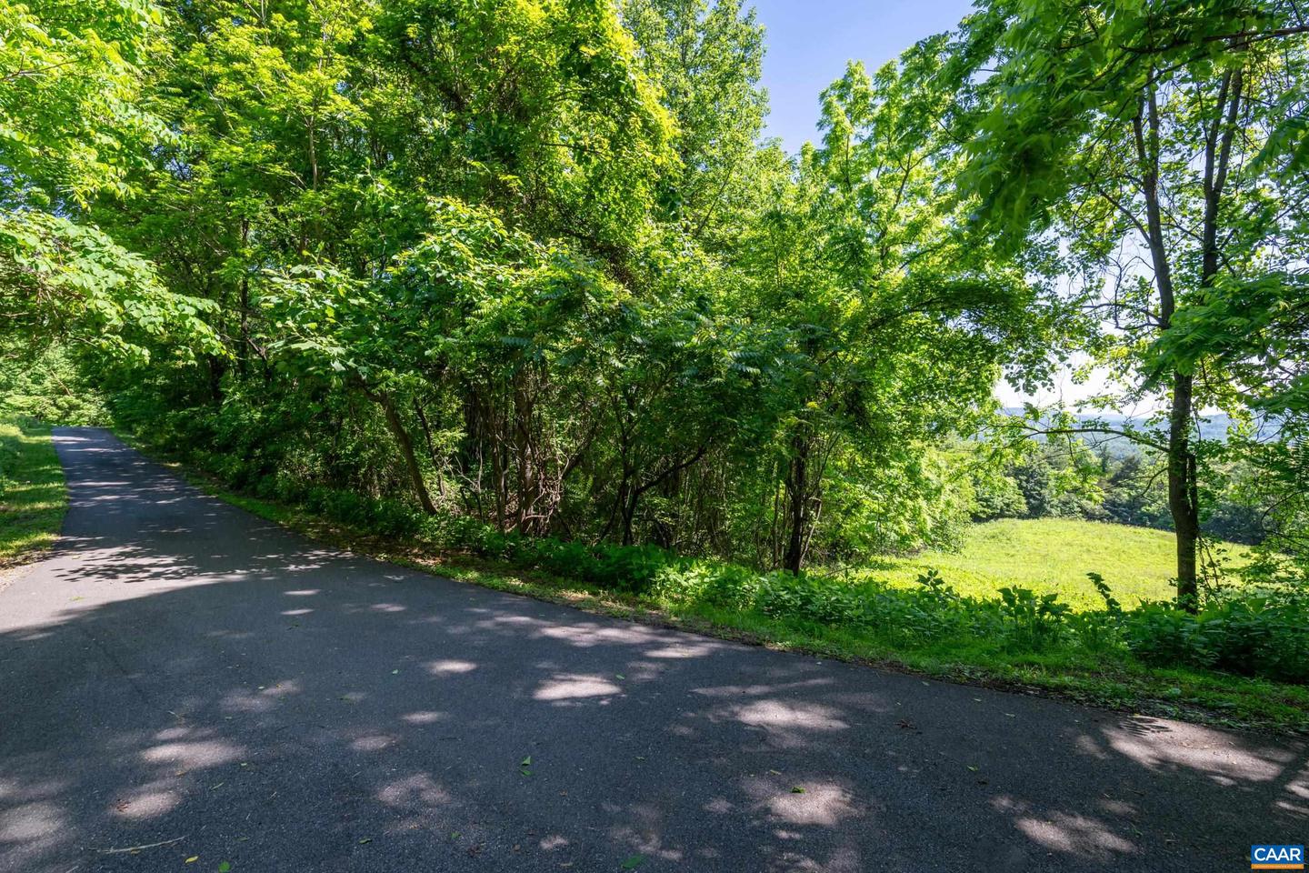 TBD ROCKFISH ORCHARD DR, AFTON, Virginia 22920, ,Land,For sale,TBD ROCKFISH ORCHARD DR,653389 MLS # 653389